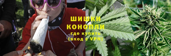 ГАЛЛЮЦИНОГЕННЫЕ ГРИБЫ Беломорск
