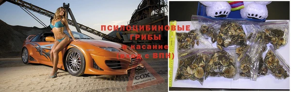 ГАЛЛЮЦИНОГЕННЫЕ ГРИБЫ Беломорск