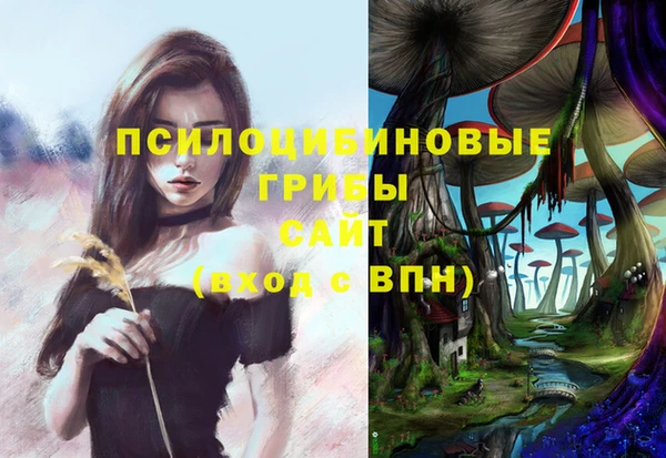 гашиш Белокуриха